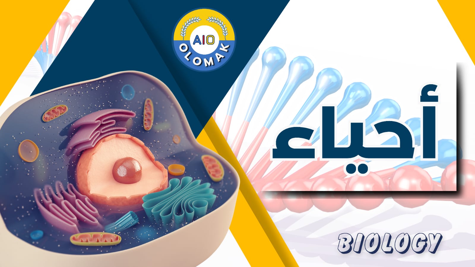 المنهج السوداني المرحلة الثانوية الصف الثالث أحياء